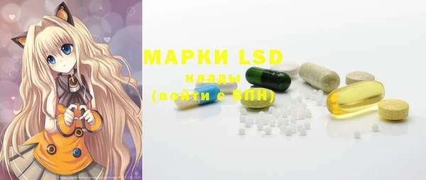 стафф Аркадак