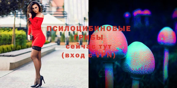 стаф Баксан