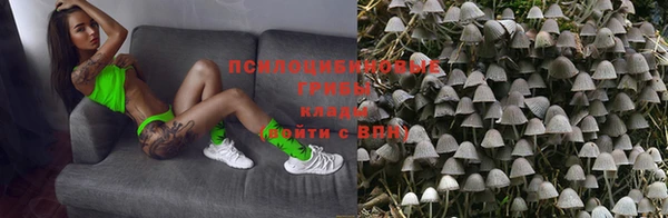 стафф Аркадак