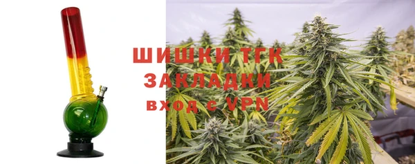 мет Арсеньев