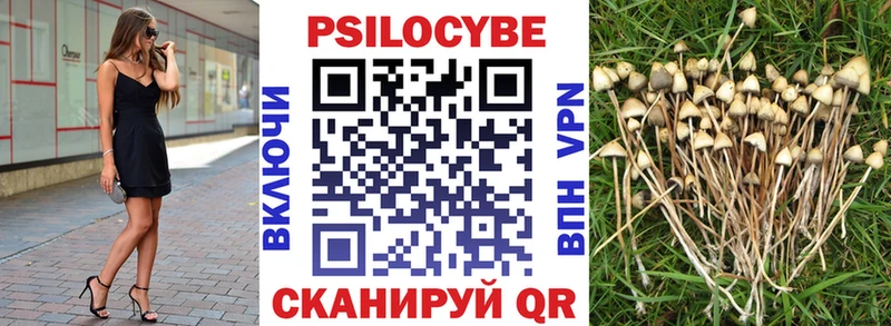 купить закладку  Билибино  Галлюциногенные грибы MAGIC MUSHROOMS 